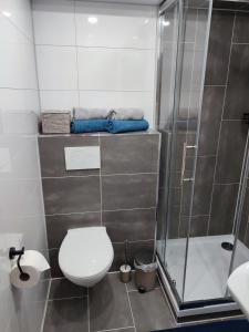 een badkamer met een toilet en een douche bij Gemütliches Studio mit Ausblick, Pool und WiFi in Baiersbronn