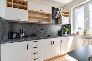 Kuchyň nebo kuchyňský kout v ubytování Grelewicz Apartments- MyPleasure