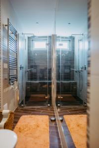 baño con ducha y puerta de cristal en Apartment RADO 75m2 mit Garten und Terrasse, en Winden am See