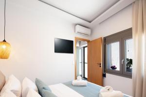 A television and/or entertainment centre at Petrino Two-Bedroom House in Mirthios