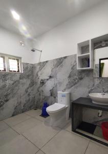 ein Bad mit einem WC und einem Waschbecken in der Unterkunft Moon Homestay in Santhanpara