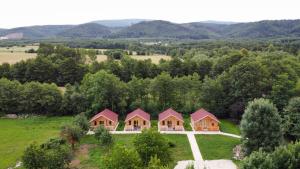 an overhead view of a row of houses on a hill at Dwór Piotra i Pawła- pokoje i domki in Miedzygorze