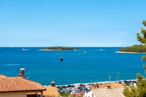 Naturlandskabet i nærheden af lejlighedshotellet + 12 billeder