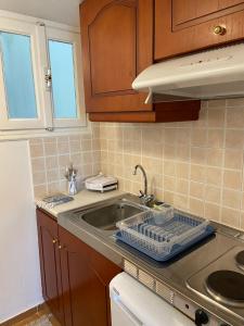 a kitchen counter with a sink and a sink at Filoxenia Apartments in Mytilene