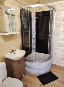een badkamer met een douche, een toilet en een wastafel bij Laguna Zastań in Zastań