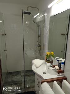 a bathroom with a sink and a glass shower at Éva Vendégház in Cserszegtomaj