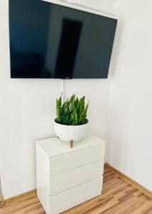a tv on top of a white dresser with a plant at Apartament na Spółdzielczej in Radzyń Podlaski