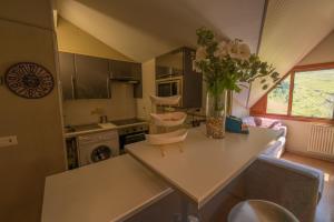 Galeriebild der Unterkunft Apartamentos Formigal - Admite mascotas in Formigal