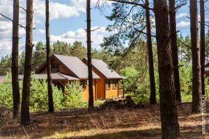 una pequeña cabaña amarilla en el bosque con árboles en Domki Letniskowe Swornegacie - grill klimatyzacja WiFi monitoring, en Swornegacie