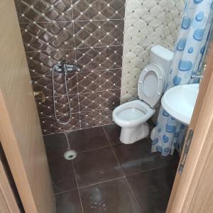 een badkamer met een toilet, een wastafel en een douche bij Apartment Perutović in Sutomore