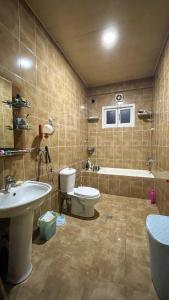 a bathroom with a sink and a toilet and a tub at Green House in K'obulet'i