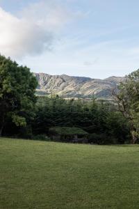 Photo de la galerie de l'établissement Mossie's, à Adrigole