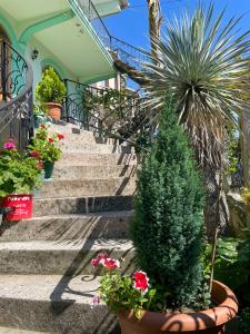 Φωτογραφία από το άλμπουμ του Green House σε Kobuleti +10 φωτογραφίες