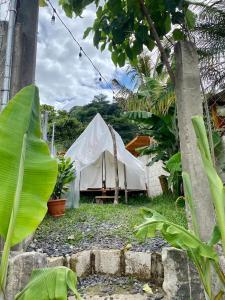 una tenda bianca in un cortile con piante di Tipis Ya' a San Pedro La Laguna