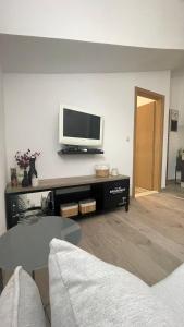 TV a/nebo společenská místnost v ubytování Apartments Milas