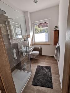 een badkamer met een douche, een toilet en een wastafel bij Sonnenufer Apartment & Moselwein II in Bernkastel-Kues