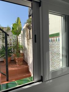 A balcony or terrace at Palm House 10