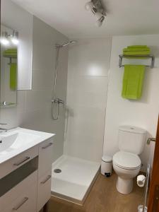 ein Badezimmer mit einem weißen WC und einem Waschbecken in der Unterkunft Casa A Cumieira in Rosal