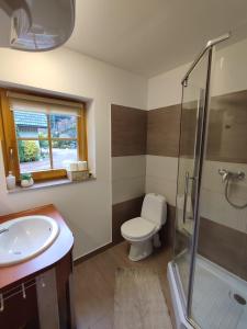 ein Bad mit einem WC, einem Waschbecken und einer Dusche in der Unterkunft Domki Na Źródlanej in Mienzebrosche
