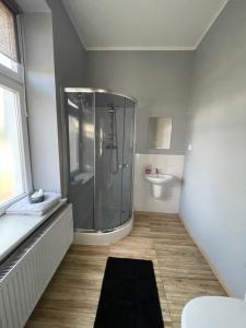Łazienka w obiekcie Apartamenty Trzciana