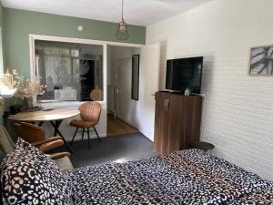 een slaapkamer met een bed en een bureau met een televisie bij De Drie Berken in Klazienaveen