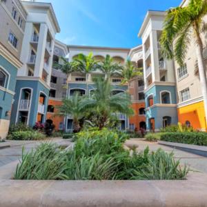 マイアミにあるBeautiful Apartment with Pool in Miamiのヤシの木が並ぶアパートメント