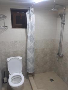 a bathroom with a toilet with a shower curtain at GuestHouse in Gyumri