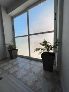 a room with two potted plants and a large window at Hotel Frida in Himare