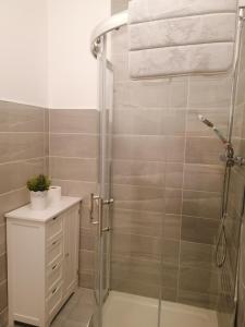 a bathroom with a shower with a glass door at Atlantic way Apartment 1 in Breaghwy