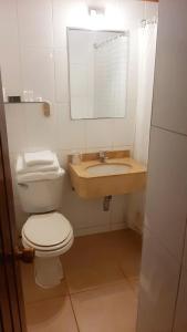 a bathroom with a toilet and a sink and a mirror at Panamericana Hotel Ancud in Ancud