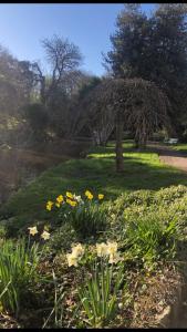 Foto dalla galleria di 1 Laurel Cottages a Dawlish