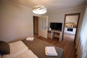 a living room with a bed and a television at Greenland Apartments in Cēsis