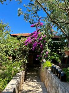 un jardin avec des fleurs roses et un mur en pierre dans l'établissement Gorana apartman with swimming pool, à Jelsa