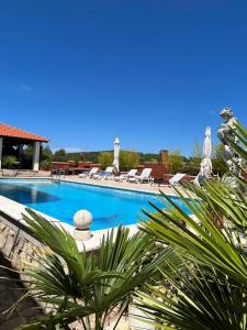 a swimming pool with chaise lounge chairs in a resort at Gorana apartman with swimming pool in Jelsa