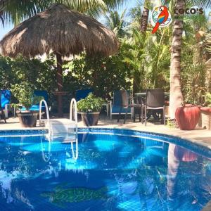 - Piscina con silla y sombrilla en Cocos Cabañas Playa del Carmen Adults Only en Playa del Carmen