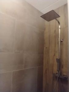 a shower with a shower head in a bathroom at The Two Branches 