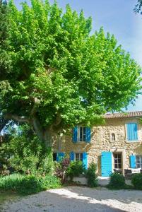 un grande albero di fronte a un edificio con persiane blu di Les Volets Bleus Provence a Salon-de-Provence