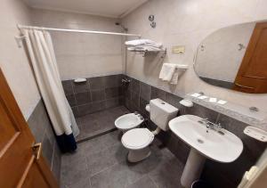 a bathroom with a toilet and a sink at Hostería Austral by DOT Light in El Calafate