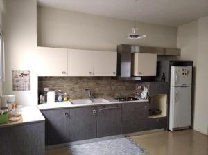 a kitchen with gray cabinets and a white refrigerator at Platonos Academy appartment in Athens