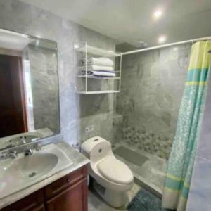 圣安德烈斯Apartamento con Espectacular Vista al Mar en San Andrés Sun Rise的浴室里有马桶、洗手池和淋浴。