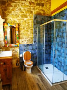 a bathroom with a toilet and a glass shower at Precioso apartamento en plena naturaleza in La Cavada +21 photos