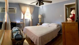 1 dormitorio con 1 cama y ventilador de techo en ABnB Superhost - Siri's Favorite Place, en Havertown