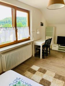 een slaapkamer met een bureau, een bed en een raam bij Villa Goncalves, Komplette Wohnung mit Parkplatz und Wallbox vor der Tür in Calw