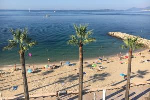 plaża z palmami i ludźmi w wodzie w obiekcie Studio 29 M With Terrace And View On The Beach w mieście Antibes +4 zdjęcia