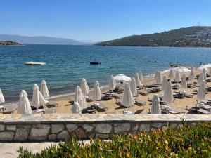 a beach with chairs and umbrellas and the water at Beach front apartment in Bogazici
