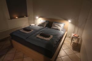 a bedroom with a large bed with blue sheets and pillows at Villa apartment Hafnarfjordur - Ideal for Aurora in Hafnarfjörður