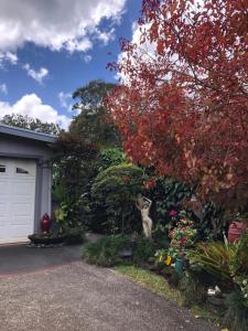 Gallery image of The Secret Garden Room in Kapaa