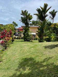 a yard with palm trees and a house at Sueños de Amor! Hermoso y Acogedor lugar in Quepos