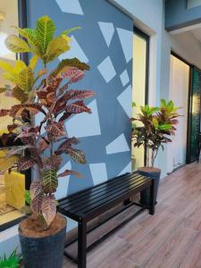 Giardino di Spring Fields Homestay by Sizma
