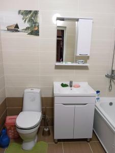 a bathroom with a toilet and a sink and a mirror at "Kamchybek Ata" guest house B&B in Tërt-Kul'